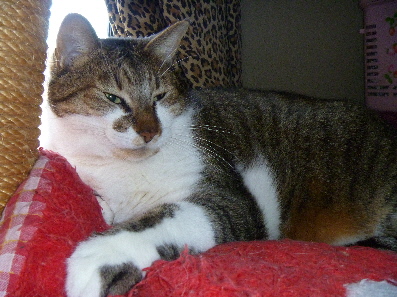 e0121548_2201294.jpg