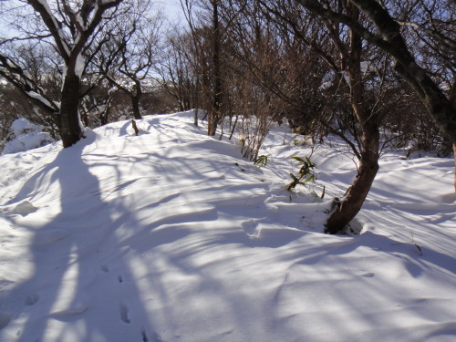 c0179351_196295.jpg