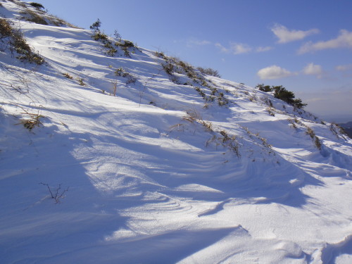 c0179351_1984247.jpg