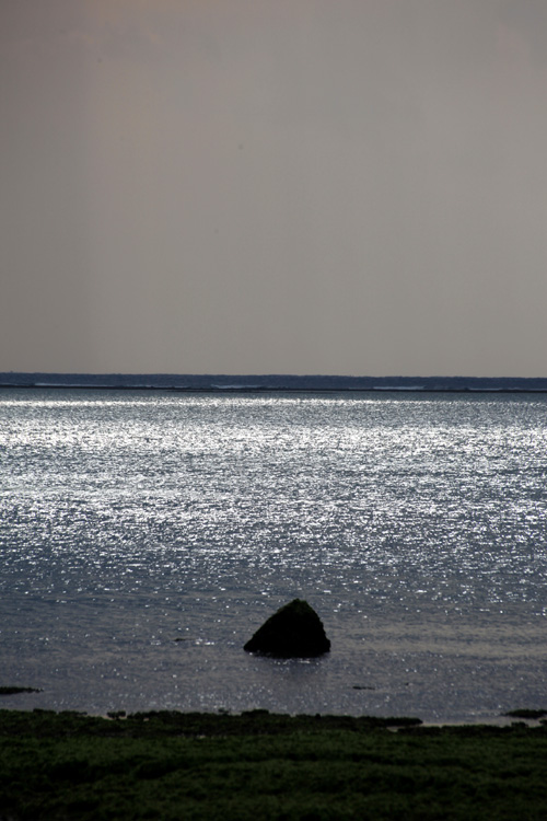 b0049152_2062610.jpg