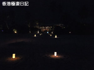 f0190653_1551072.jpg