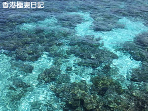 f0190653_950893.jpg