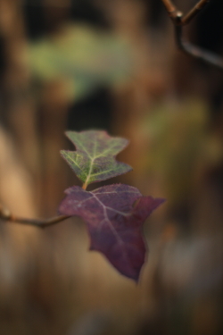 f0214858_20225934.jpg