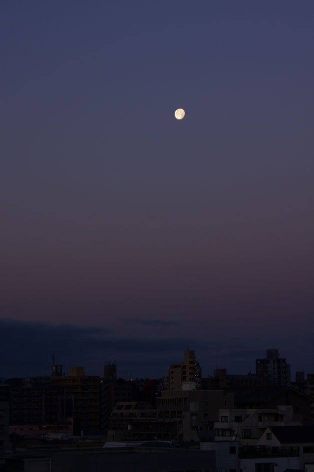 e0195460_2205651.jpg