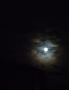 c0100661_757314.jpg