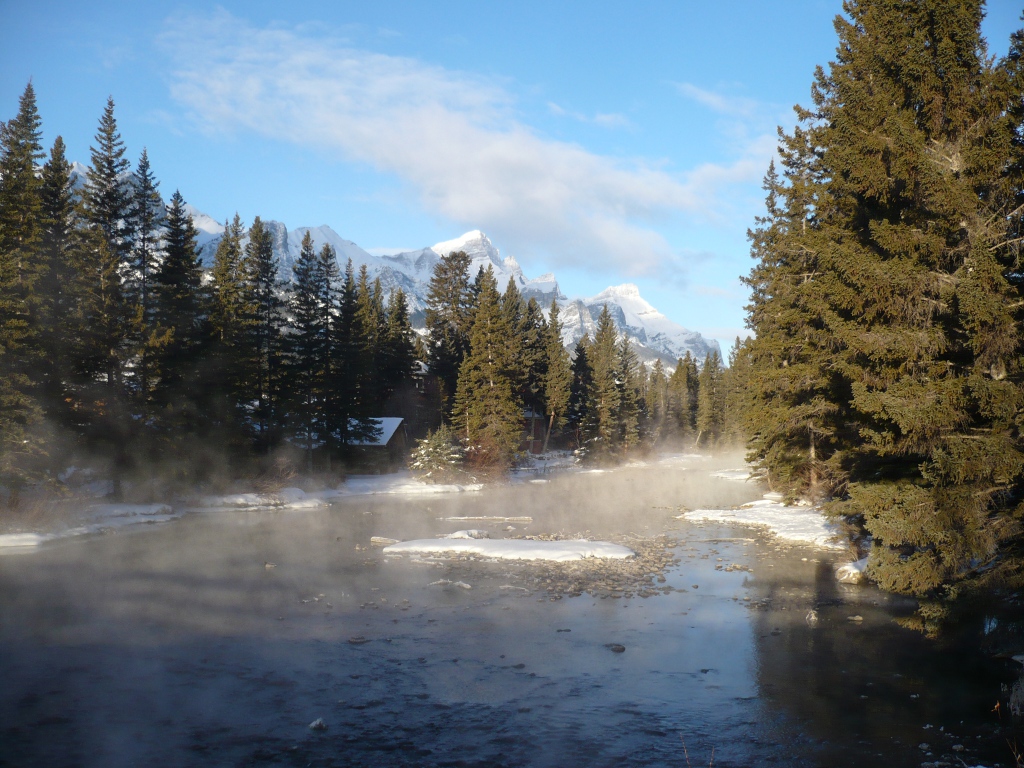 f0214562_100291.jpg