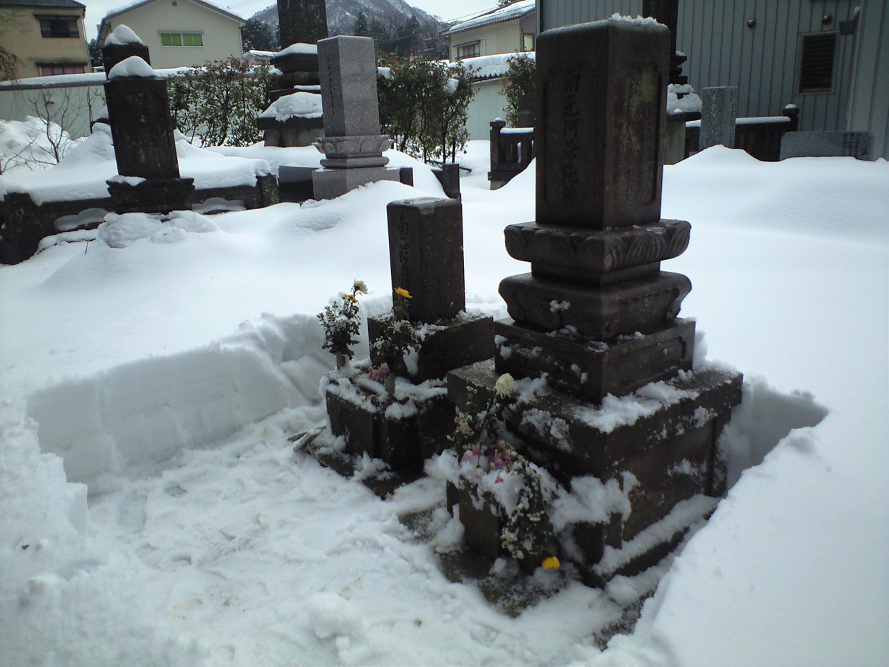 d0094868_1050166.jpg