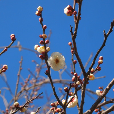 c0122670_16441324.jpg