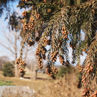 c0122670_16453829.jpg