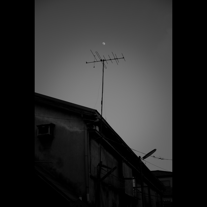 c0118173_1423934.jpg