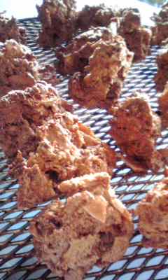 f0140174_0145998.jpg