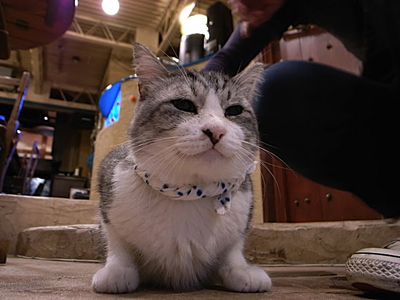 a0180681_612383.jpg