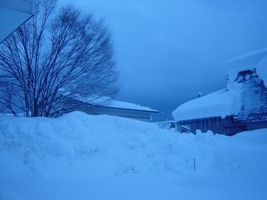 c0057781_10202470.jpg