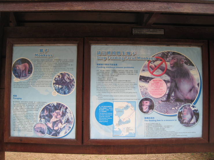 e0109292_2015321.jpg