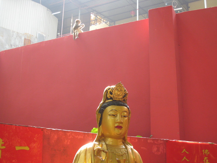 e0109292_2023961.jpg