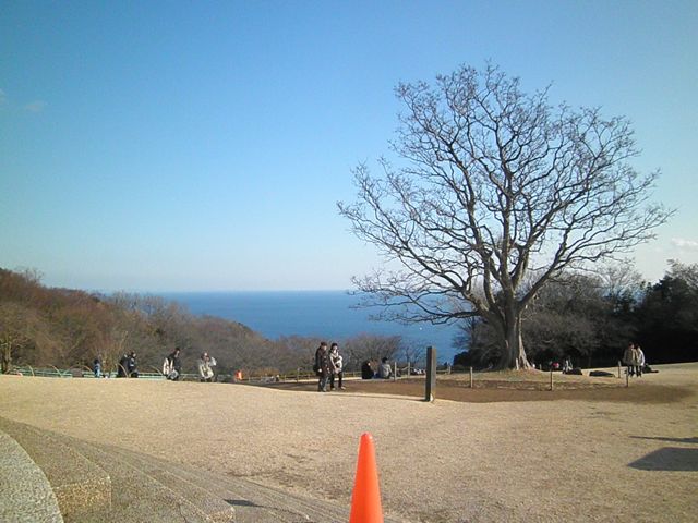 f0130894_20425220.jpg