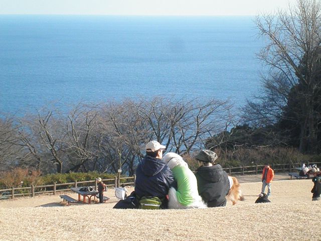 f0130894_2049092.jpg