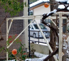c0151898_10584788.jpg