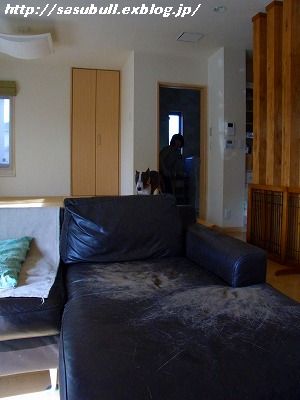 e0145805_2391530.jpg
