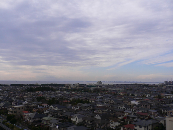 b0009106_8191420.jpg