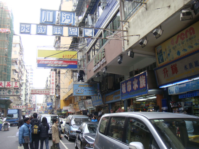 d0200406_0273995.jpg