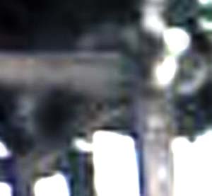 e0103408_1540289.jpg