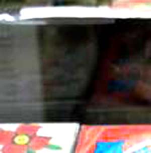 e0103408_2238484.jpg