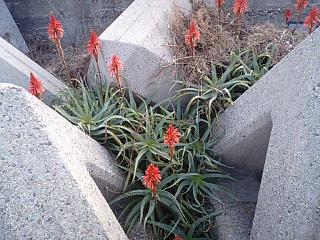 f0231709_18104481.jpg