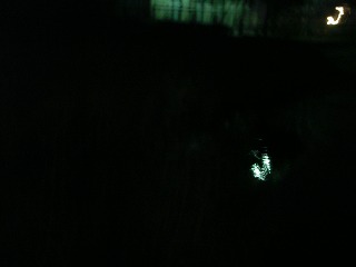c0190010_22261544.jpg