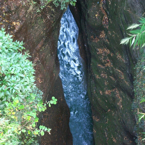e0142611_11113431.jpg