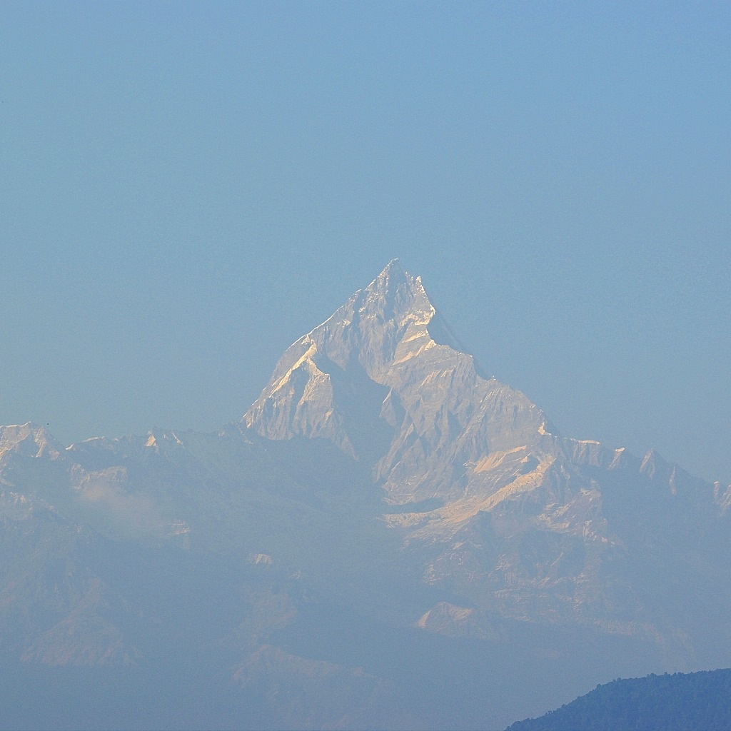 e0142611_115286.jpg