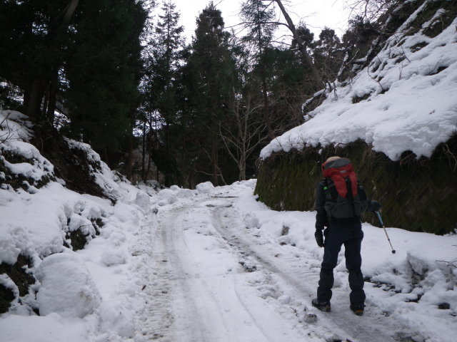 d0006512_17313331.jpg