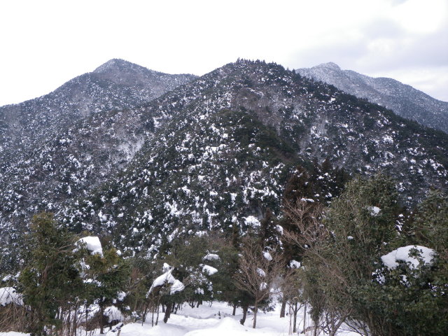 d0006512_17362525.jpg