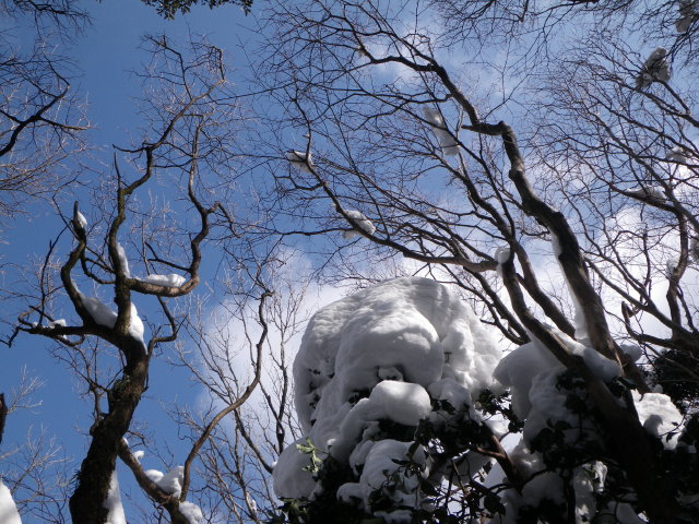 d0006512_1739431.jpg