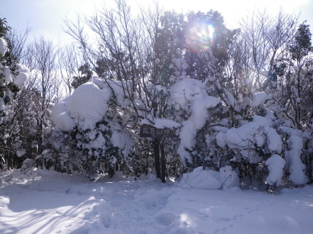 d0006512_17401075.jpg