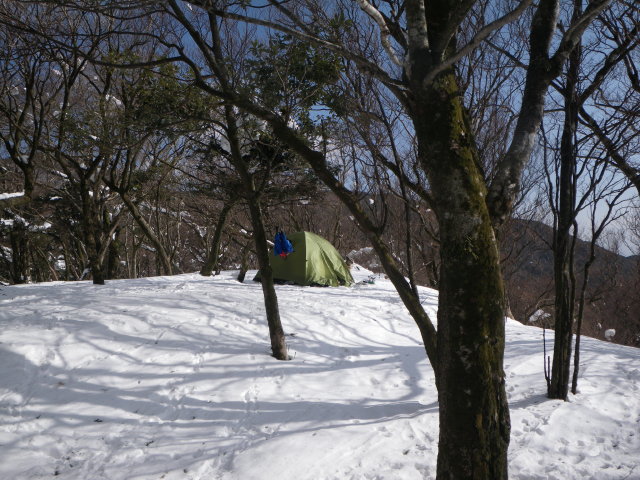 d0006512_17455888.jpg