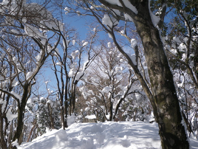 d0006512_17492977.jpg