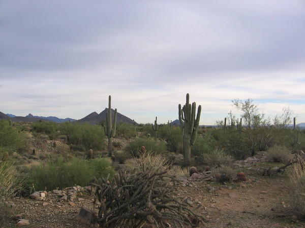 f0127915_1461785.jpg