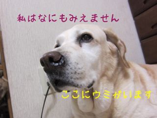 b0008217_171815.jpg