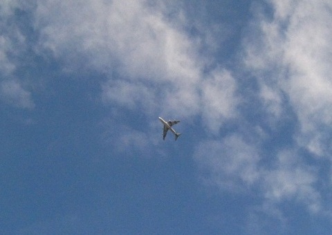 c0084117_16525267.jpg