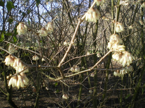 c0124619_21482924.jpg