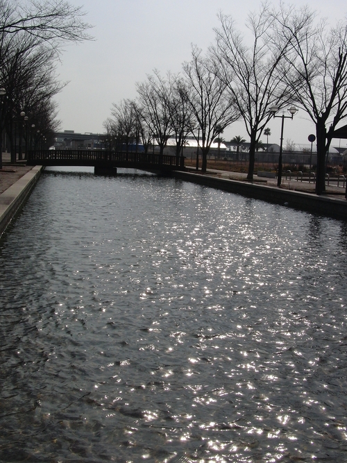 e0179321_16164423.jpg
