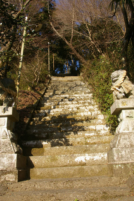 a0114222_16273479.jpg