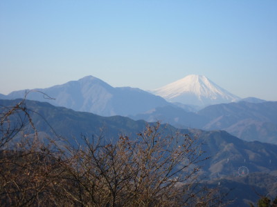 f0000425_166279.jpg