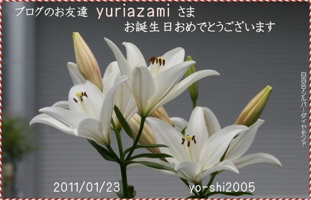 e0033229_715086.jpg