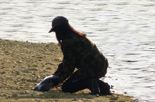 a0056140_17303168.jpg