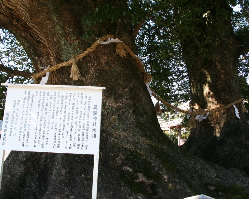 d0052340_7152890.jpg