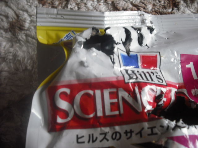 c0194042_2141188.jpg