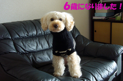d0070047_2235278.jpg