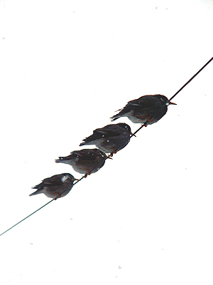 a0074650_18135098.jpg